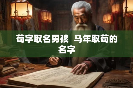 荀字取名男孩  马年取荀的名字