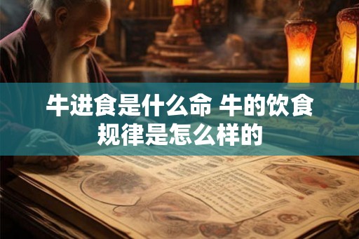 牛进食是什么命 牛的饮食规律是怎么样的