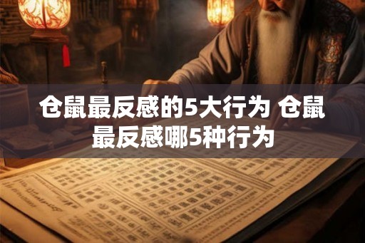 仓鼠最反感的5大行为 仓鼠最反感哪5种行为