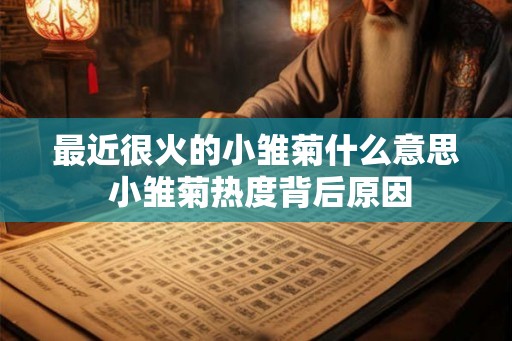 最近很火的小雏菊什么意思 小雏菊热度背后原因