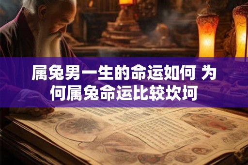 属兔男一生的命运如何 为何属兔命运比较坎坷