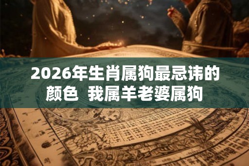 2026年生肖属狗最忌讳的颜色  我属羊老婆属狗
