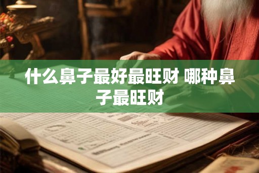 什么鼻子最好最旺财 哪种鼻子最旺财 什么鼻子最好最旺财 哪种鼻子最旺财