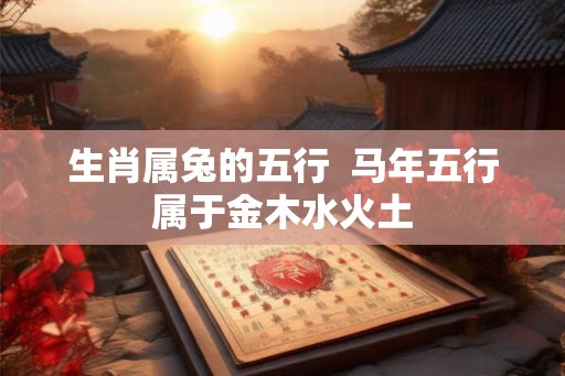 生肖属兔的五行  马年五行属于金木水火土