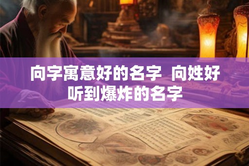 向字寓意好的名字  向姓好听到爆炸的名字