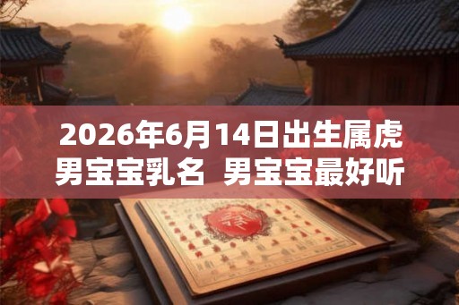 2026年6月14日出生属虎男宝宝乳名  男宝宝最好听顺口的乳名