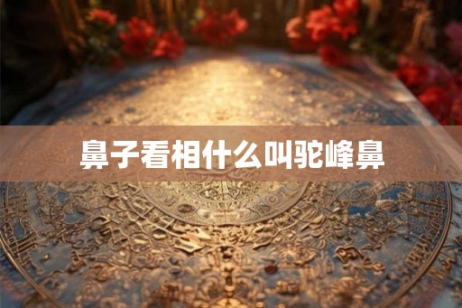 鼻子看相什么叫驼峰鼻