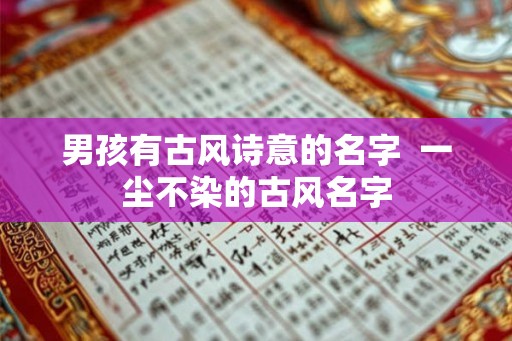 男孩有古风诗意的名字  一尘不染的古风名字