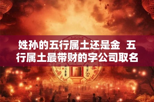 姓孙的五行属土还是金  五行属土最带财的字公司取名
