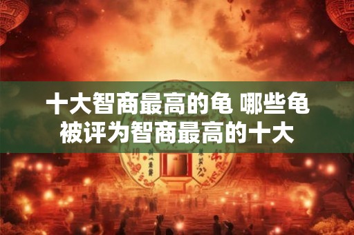 十大智商最高的龟 哪些龟被评为智商最高的十大