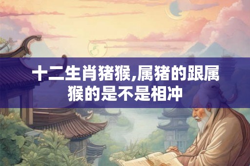十二生肖猪猴,属猪的跟属猴的是不是相冲