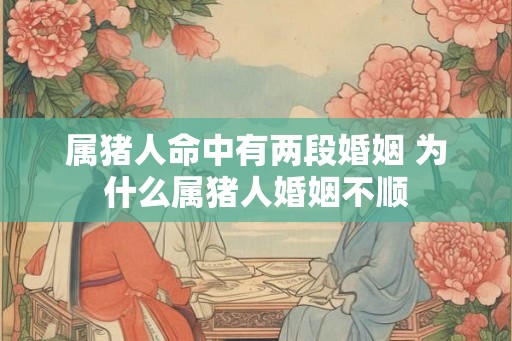 属猪人命中有两段婚姻 为什么属猪人婚姻不顺