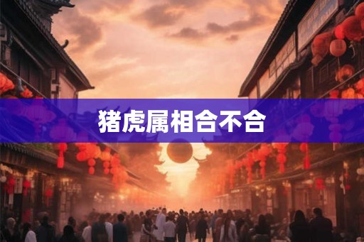 猪虎属相合不合