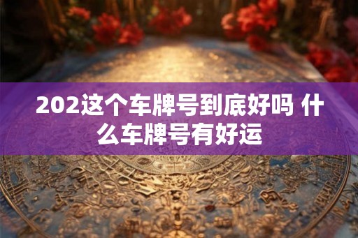 202这个车牌号到底好吗 什么车牌号有好运 202这个车牌号到底好吗 什么车牌号有好运