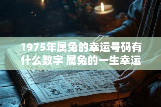 1975年属兔的幸运号码有什么数字 属兔的一生幸运数字查询