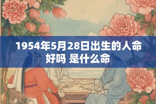 1954年5月28日出生的人命好吗 是什么命