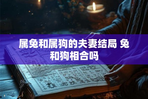 属兔和属狗的夫妻结局 兔和狗相合吗