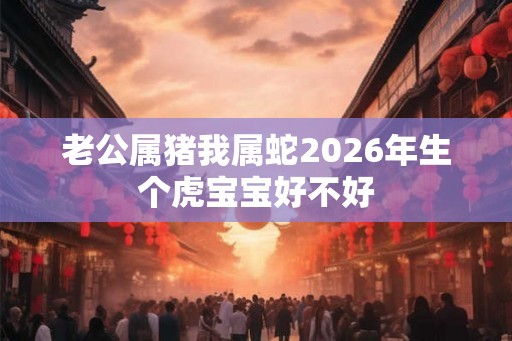 老公属猪我属蛇2026年生个虎宝宝好不好