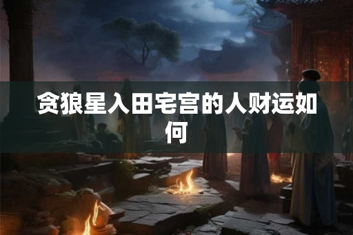 贪狼星入田宅宫的人财运如何