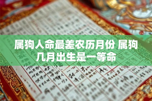 属狗人命最差农历月份 属狗几月出生是一等命 属狗人命最差农历月份 属狗几月出生是一等命