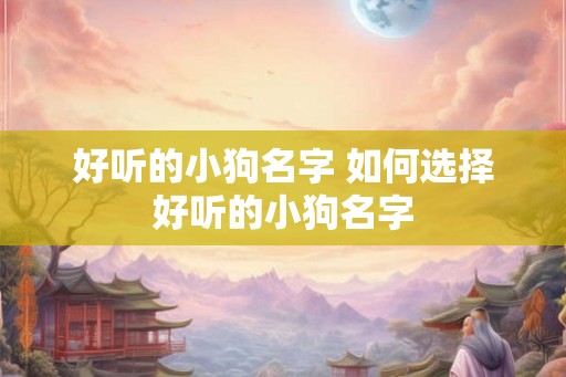 好听的小狗名字 如何选择好听的小狗名字