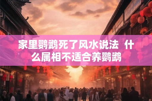 家里鹦鹉死了风水说法  什么属相不适合养鹦鹉