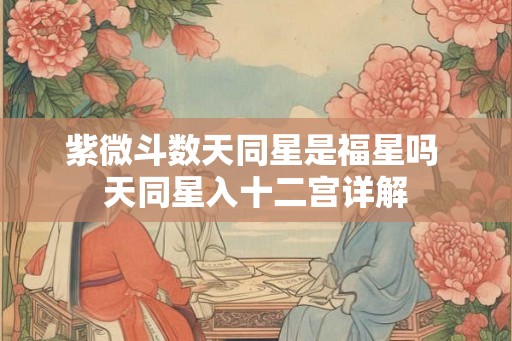 紫微斗数天同星是福星吗 天同星入十二宫详解