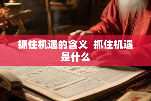 抓住机遇的含义  抓住机遇是什么