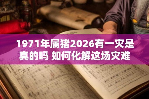 1971年属猪2026有一灾是真的吗 如何化解这场灾难