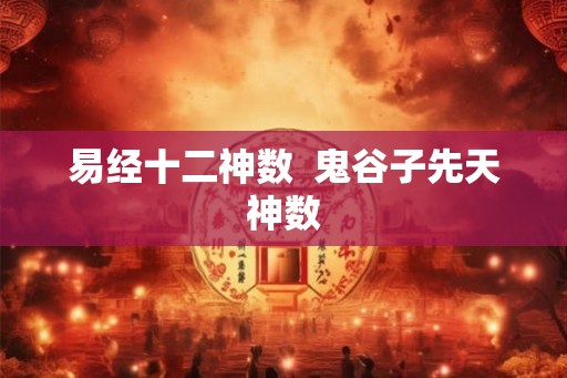 易经十二神数  鬼谷子先天神数