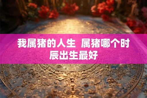 我属猪的人生  属猪哪个时辰出生最好