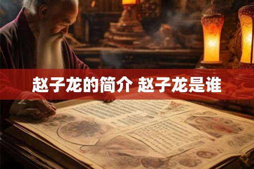 赵子龙的简介 赵子龙是谁