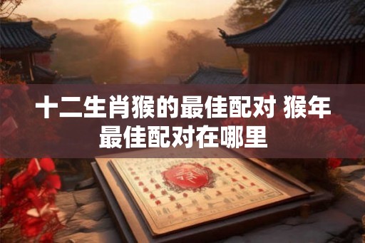 十二生肖猴的最佳配对 猴年最佳配对在哪里