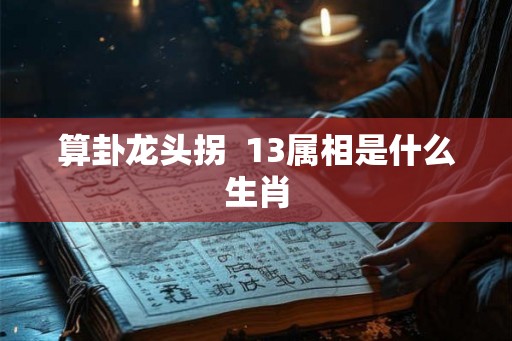 算卦龙头拐  13属相是什么生肖