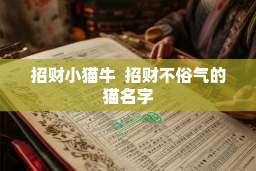 招财小猫牛  招财不俗气的猫名字