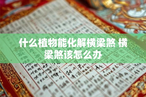 什么植物能化解横梁煞 横梁煞该怎么办 什么植物能化解横梁煞 横梁煞该怎么办
