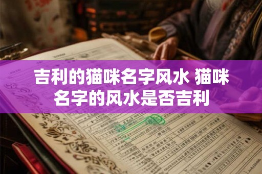 吉利的猫咪名字风水 猫咪名字的风水是否吉利