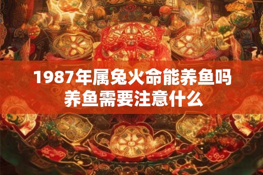 1987年属兔火命能养鱼吗 养鱼需要注意什么