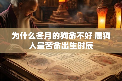 为什么冬月的狗命不好 属狗人最苦命出生时辰