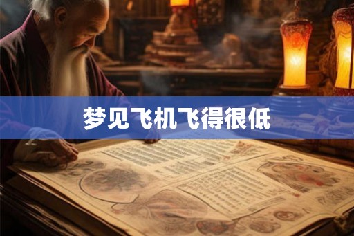 梦见飞机飞得很低