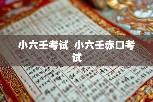 小六壬考试  小六壬赤口考试