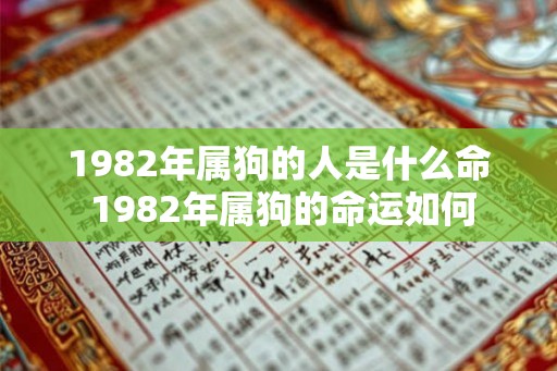 1982年属狗的人是什么命 1982年属狗的命运如何