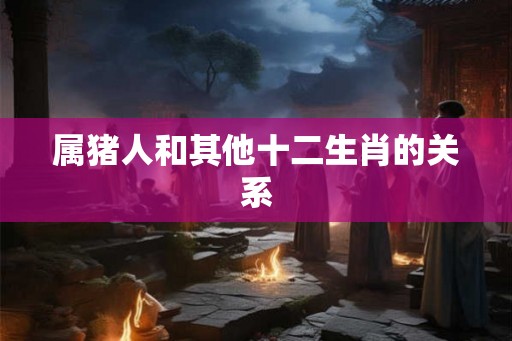 属猪人和其他十二生肖的关系 属猪人和其他十二生肖的关系