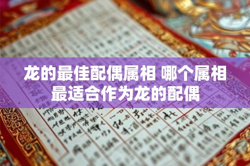 龙的最佳配偶属相 哪个属相最适合作为龙的配偶