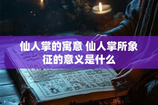 仙人掌的寓意 仙人掌所象征的意义是什么
