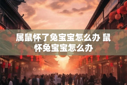 属鼠怀了兔宝宝怎么办 鼠怀兔宝宝怎么办 属鼠怀了兔宝宝怎么办 鼠怀兔宝宝怎么办