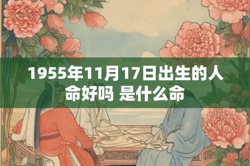 1955年11月17日出生的人命好吗 是什么命