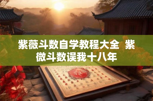 紫薇斗数自学教程大全 紫微斗数误我十八年 紫薇斗数自学教程大全 紫微斗数误我十八年