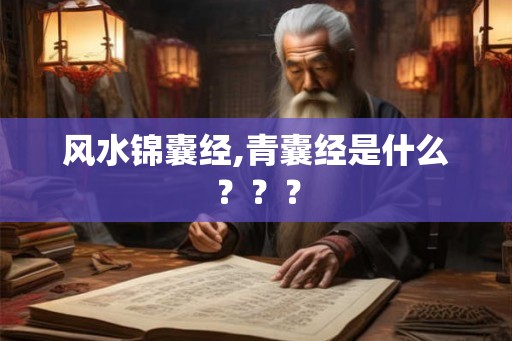 风水锦囊经,青囊经是什么？？？