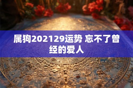 属狗202129运势 忘不了曾经的爱人